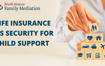 Life Insurance as Security for Child Support